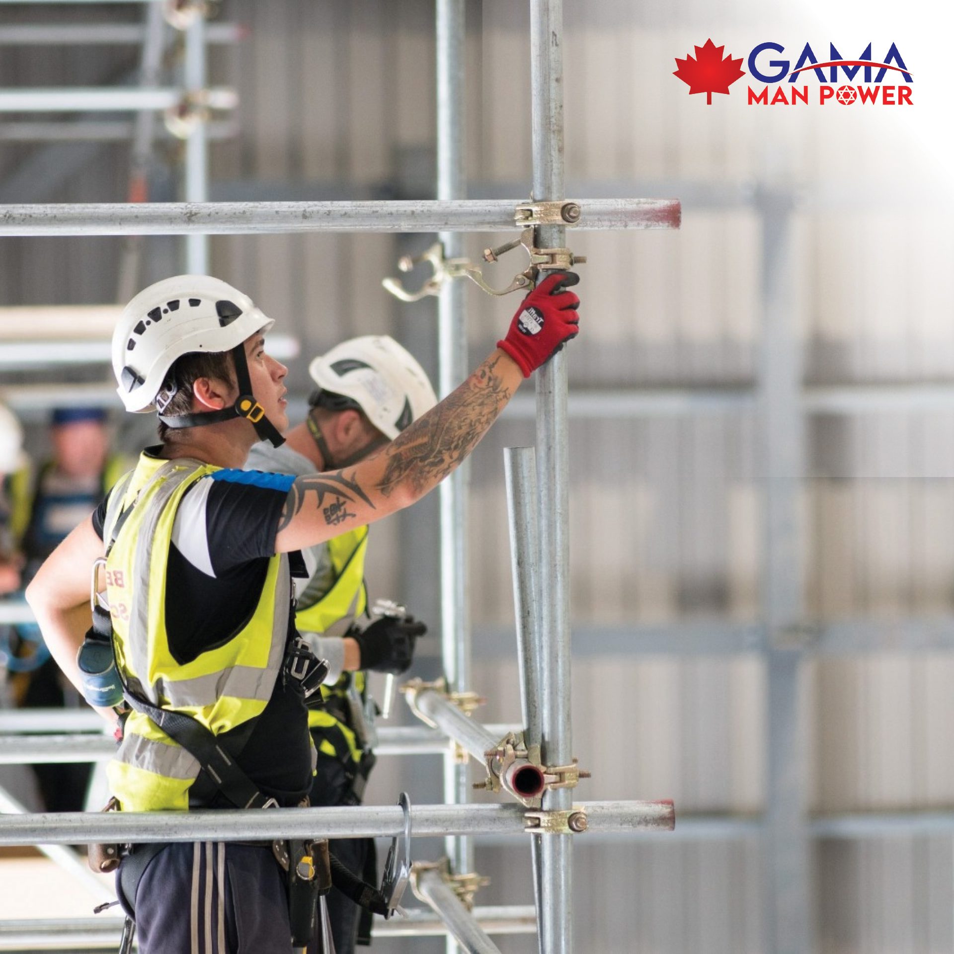 Scaffolding & Structural Support (GMP)